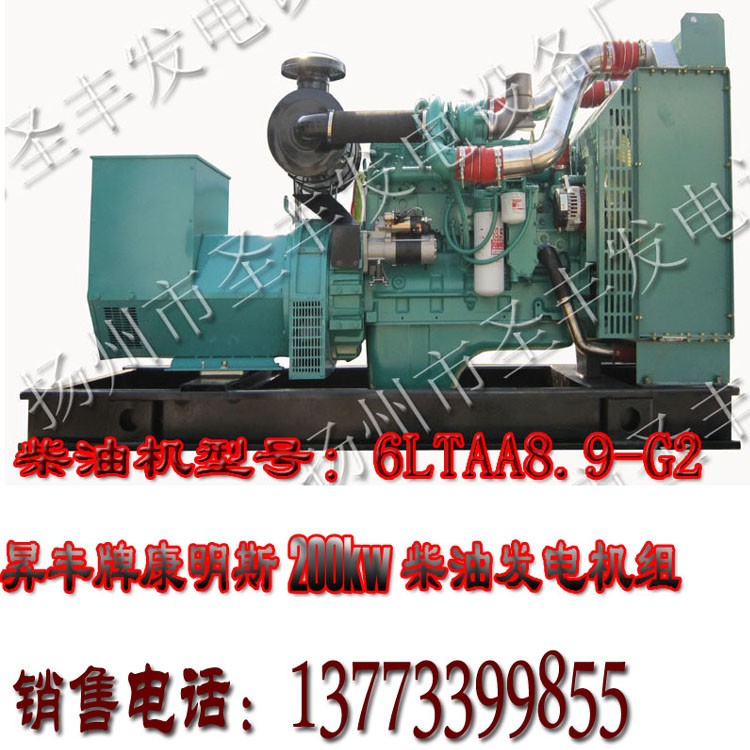 美國康明斯動(dòng)力配套200KW柴油發(fā)電機(jī)組QSL9G2
